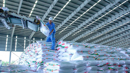 Đạm Cà Mau (DCM): Dự báo thị trường trong nước dần hồi phục, thận trọng với kế hoạch kinh doanh năm nay