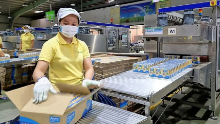 Đường Quảng Ngãi (QNS): Tiêu thụ đường tăng mạnh, nắm gần 300 triệu USD tiền mặt