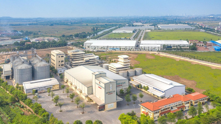 Giá heo hồi phục, Tập đoàn Dabaco (DBC) báo lãi tăng trưởng mạnh