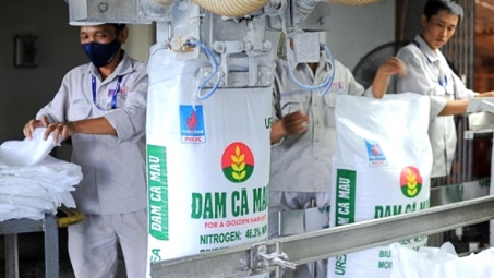 Đạm Cà Mau (DCM): Xuất khẩu ure vượt 130.000 tấn, hoàn thành 51% kế hoạch cả năm