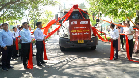 Từ 15 tấn củ sen lần đầu xuất sang Nhật Bản, kỳ vọng mở cơ hội cho nông sản địa phương