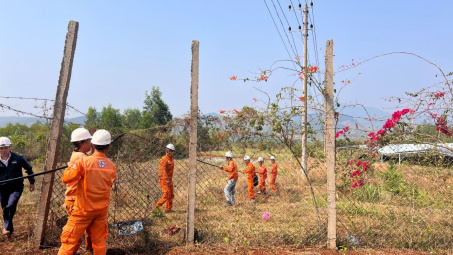 Thủy điện An Khê – Ka Nak nhiều giải pháp đảm bảo an toàn tuyến đường dây 22 kV