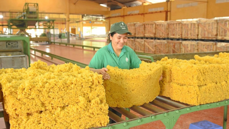 Cao su Việt Nam (GVR): Lãi ròng năm nay có thể tăng 45%, thu hơn 400 tỷ đồng từ việc thoái vốn