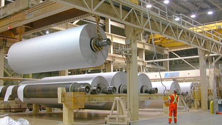 Giá giấy bao bì tăng vọt trở lại, Đông Hải Bến Tre (DHC) hưởng lợi lớn