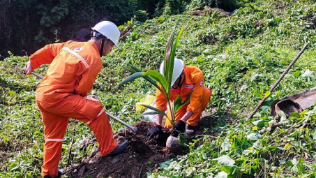 Công ty Thủy điện Đồng Nai: Nhiều hoạt động hưởng ứng Tháng hành động vì môi trường năm 2024