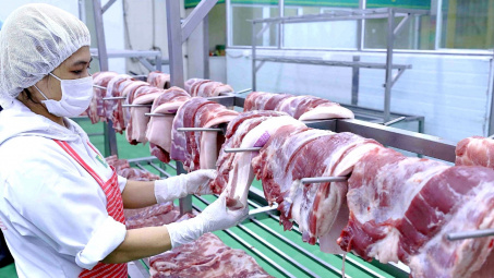 Kỳ vọng giá heo tăng cao, Siba Holdings muốn mua gần 28 triệu cổ phiếu của BaF Việt Nam