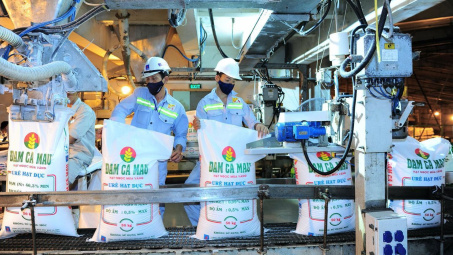 Vừa kết thúc Đại hội, Đạm Cà Mau (DCM) chuẩn bị chia cổ tức tiền mặt tỷ lệ 20%