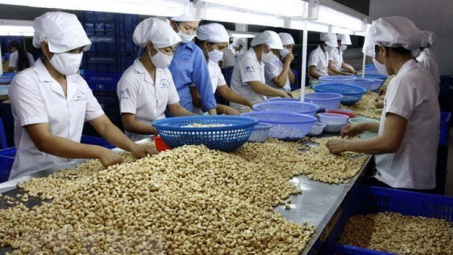Các kênh phân phối chính hạt điều tại thị trường châu Âu
