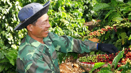 Nhu cầu NPK tháng 6/2024 ước tăng gấp 3 lần, Đạm Cà Mau (DCM) tập trung gia tăng thị phần