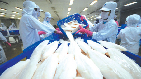 Thuỷ sản Vĩnh Hoàn (VHC) giữ vững vị thế doanh nghiệp xuất khẩu cá tra lớn nhất cả nước