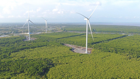Công ty FECON (FCN) tìm đối tác ngoại cho “siêu” dự án điện gió quy mô 1,2 tỷ USD