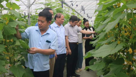 Bắc Ninh tích cực chủ động đảm bảo an ninh an toàn thực phẩm