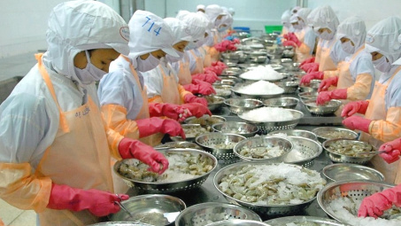 Camimex Group (CMX) hé lộ hợp tác với nhà bán lẻ lớn nhất Hàn Quốc, mở rộng sang mảng chế biến cá