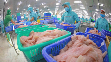 Mỹ tăng nhập khẩu cá tra chế biến sâu, lãi ròng năm nay của Thủy sản Vĩnh Hoàn (VHC) có thể tăng 30%