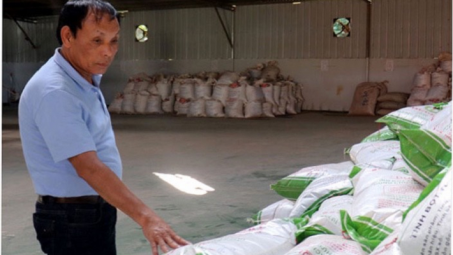 Công ty TNHH Sản xuất và Đầu tư XNK Đức Quý: Tiên phong thực hiện mô hình thu mua và sản xuất thạch đen