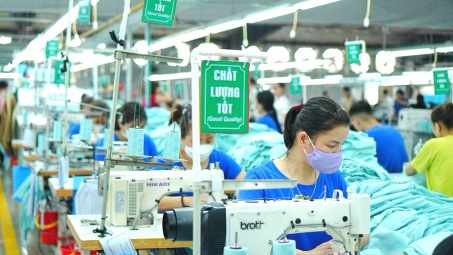 Dệt may TNG: Chuẩn bị nâng vốn điều lệ lên hơn 1.200 tỷ đồng