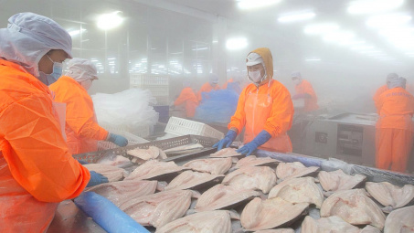 Giữ vị thế top 2 thế giới, Thủy sản Nam Việt (ANV) kỳ vọng lãi năm nay tăng gấp 8 lần