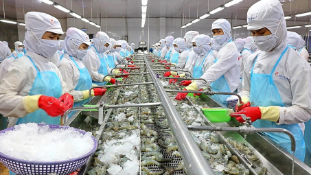 “Vua tôm” Thủy sản Minh Phú (MPC) đặt mục tiêu lãi ròng cao nhất 16 năm