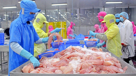Xuất khẩu cá tra “sáng cửa” nửa cuối năm nay