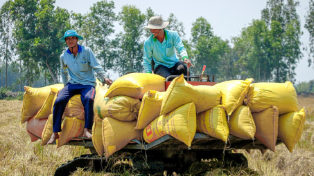 Tập đoàn Lộc Trời (LTG) muốn chia cổ tức bằng cổ phiếu tỷ lệ 30% trong 3 năm liên tiếp
