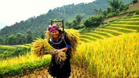 Thương hiệu Phân bón Văn Điển đến với bà con vùng núi Bắc Kạn