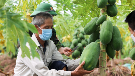 Thị trường NPK - “Cuộc chiến mới” giữa các doanh nghiệp phân bón