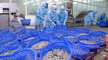 Thực phẩm Sao Ta (FMC): Tiếp tục tăng trưởng vượt trội toàn ngành, hoàn thành 45% kế hoạch năm