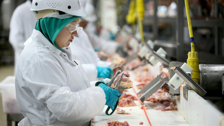 EU sửa đổi quy định liên quan đến chứng nhận vệ sinh thú y