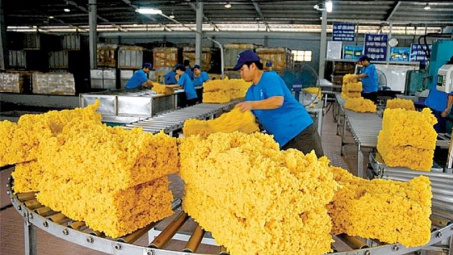 Xuất khẩu cao su 6 tháng đầu năm giảm về lượng nhưng tăng về trị giá