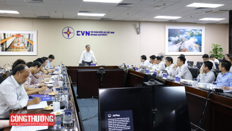 Ủy ban Khoa học, Công nghệ và Môi trường làm việc với EVN về Dự án Luật Điện lực (sửa đổi)