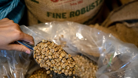 Giá cà phê hôm nay 16/7: Trung Quốc gom mua mạnh cà phê Việt Nam