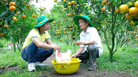 Đạm Cà Mau (DCM): Hoàn thành 77% kế hoạch xuất khẩu ure cả năm, kỳ vọng lãi năm nay tăng mạnh