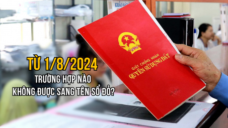 Trường hợp nào không được sang tên sổ đỏ từ 1/8/2024?