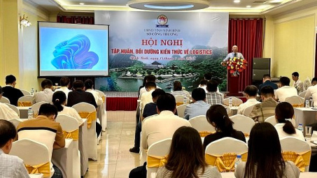 Ninh Bình: Nâng cao kiến thức về logistics cho các doanh nghiệp, đơn vị trên địa bàn