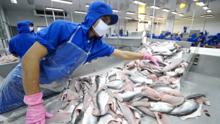 Thủy sản Vĩnh Hoàn (VHC): Tiêu thụ khởi sắc, doanh thu nửa đầu năm tăng 23%