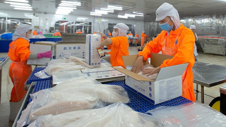 Thủy sản Nam Việt (ANV): Lãi quý 2 ước tăng gấp 2,5 lần quý 1, thị trường Trung Quốc dần khởi sắc