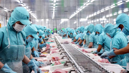 Việt Nam là nguồn cung thủy sản lớn thứ 5 cho Singapore trong hai quý liên tiếp