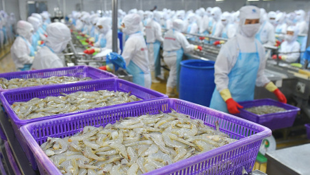 Thực phẩm Sao Ta (FMC): Doanh thu nửa đầu năm tăng 25%, dự báo nửa cuối năm tình hình “dễ thở” hơn