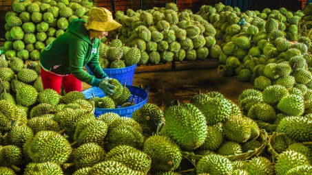 Xuất khẩu rau quả Việt Nam kỳ vọng lập kỷ lục 7 tỷ USD trong năm 2024