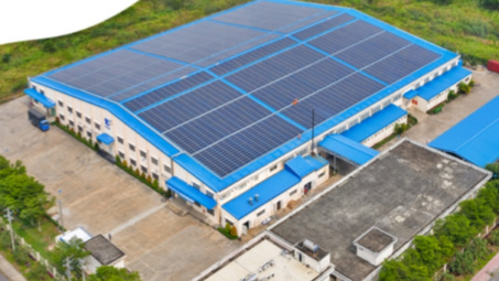 Liên hợp quốc không ủng hộ doanh nghiệp dựa vào tín chỉ carbon để đạt mục tiêu khí hậu