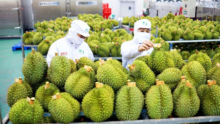 Tập trung phát triển năng lực cho các nhà quản trị doanh nghiệp nhỏ và vừa Việt Nam trong xuất khẩu nông sản - tiếp cận theo mô hình Kano - IPA