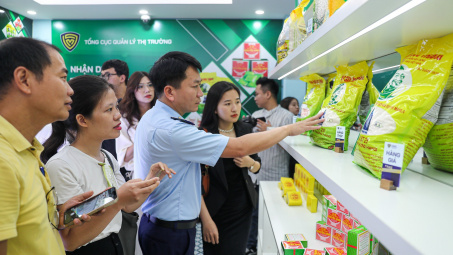 Nhận diện Thực phẩm thật - giả tại phòng trưng bày 62 Tràng Tiền, Hà Nội