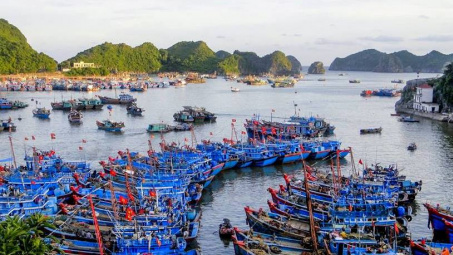Quy hoạch hệ thống cảng cá đến năm 2030: Sẽ đầu tư 5 trung tâm nghề cá lớn