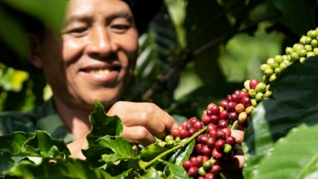 Giá cà phê hôm nay 5/7: Dự báo giá sẽ neo cao trong quý 3