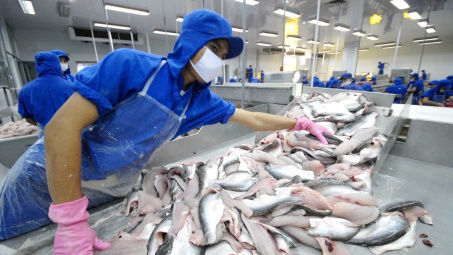 Đa Quốc gia IDI: Sẽ chia cổ tức năm 2023 bằng cổ phiếu tỷ lệ 20%