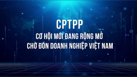 [VIDEO] CPTPP: Cơ hội mới đang rộng mở chờ đón doanh nghiệp Việt Nam