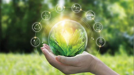 Nghiên cứu tổng quan về ảnh hưởng của hành vi xanh trá hình tới sự sẵn sàng trả giá cao cho thương hiệu xanh