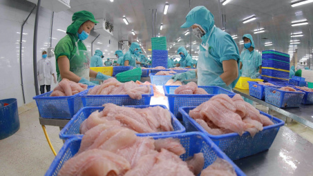 Sản lượng lẫn giá cá tra xuất khẩu dự kiến phục hồi mạnh trong nửa cuối năm