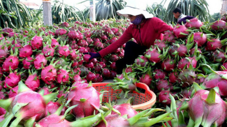 EU gia tăng cảnh báo an toàn thực phẩm đối với nông sản Việt Nam