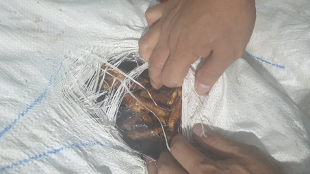 Lai Châu: phát hiện trên 1,9 tấn chân gà bốc mùi hôi thối đang trên đường tiêu thụ